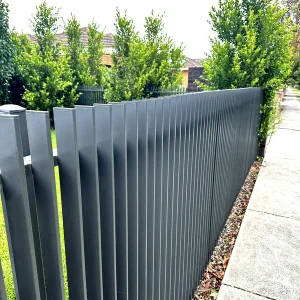 Fences 2